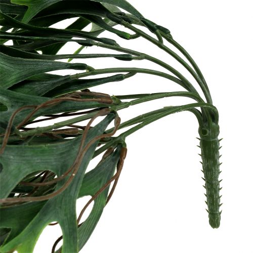 Floristik24 Antler fern bush hanging 84cm