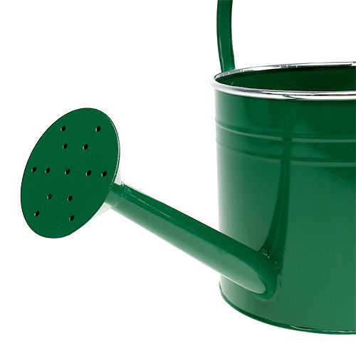 Product Decorative watering can dark green Ø20cm H18cm