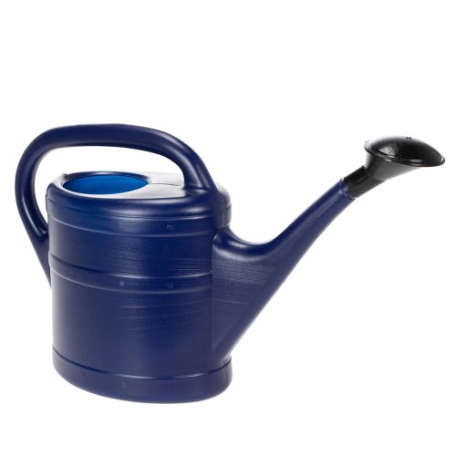 Floristik24 Watering can 5l blue