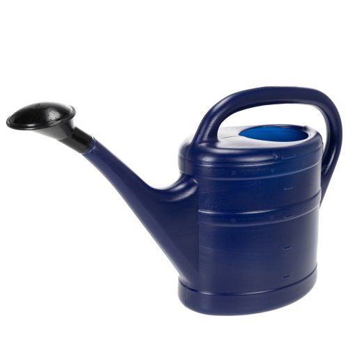 Product Watering can 5l blue