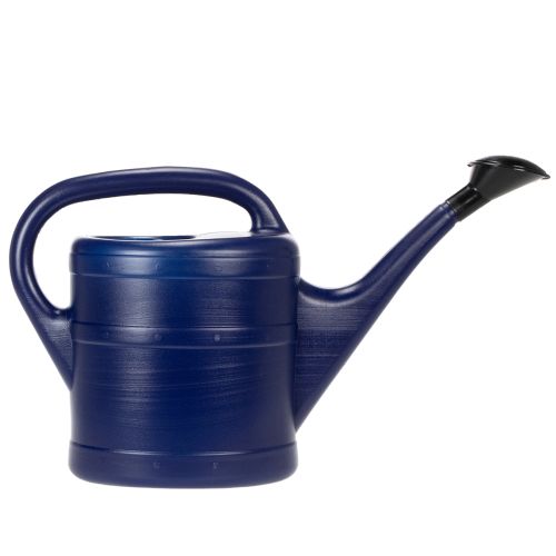 Product Watering can 5l blue