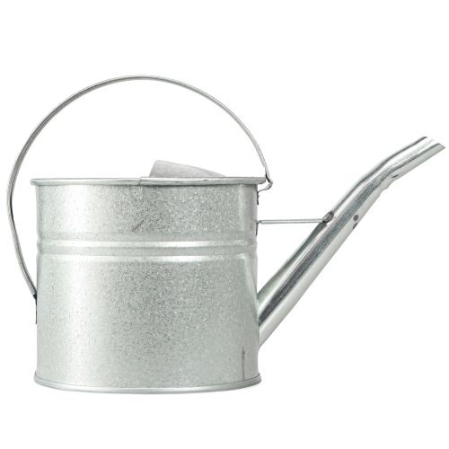Product Vintage decorative watering can, metal, silver, 1.25l planter