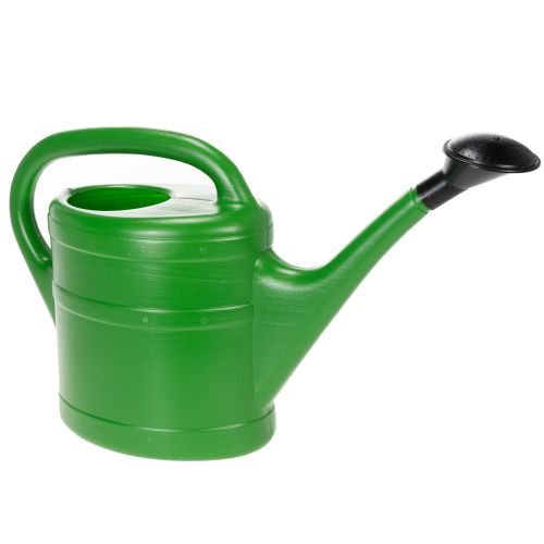 Floristik24 Watering can for garden and balcony, plant care accessory 5L