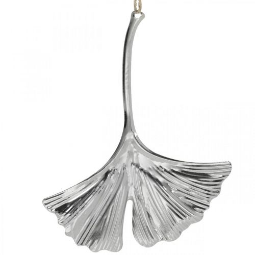Floristik24 Decorative pendant ginkgo leaf, metal decoration, Advent, autumn decoration silver L12cm 12pcs