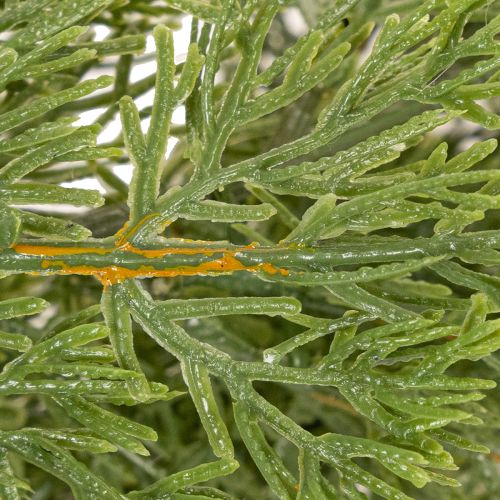 Artificial fir garland for doors and windows, 200cm | Floristik24.ie