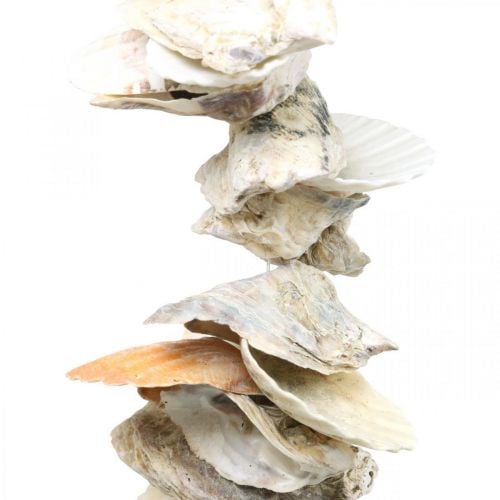 Shell garland, maritime summer decoration, natural shell chain natural colors L35cm