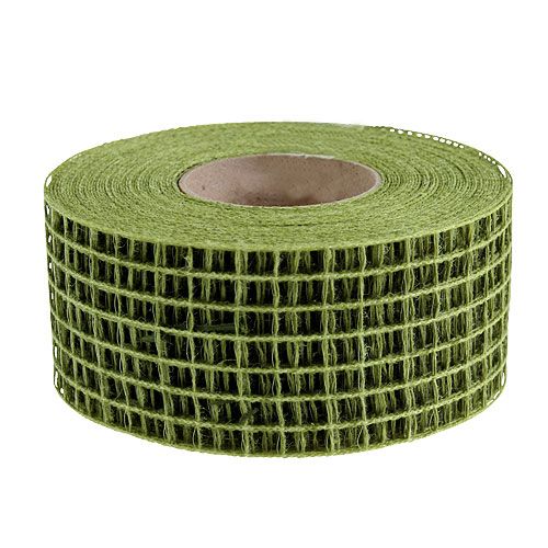 Floristik24 Grid tape 4.5cm x 10m moss green