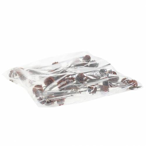 Product Glabrum Leucospermum Dried Flowers 25-40cm 25 pcs