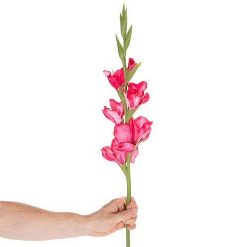 Artificial gladiolase with decorative flowers, 88cm | Floristik24.ie