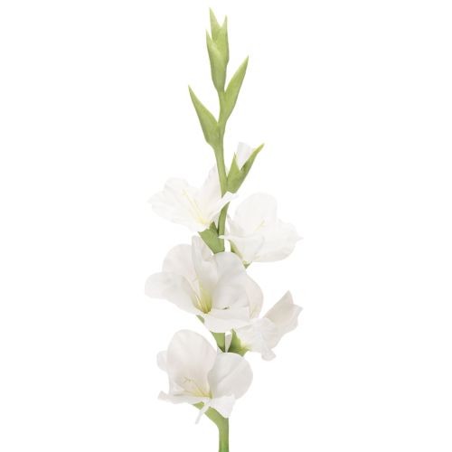Artificial gladiolus, long stem, for vases, 88cm buy online | Floristik24.ie