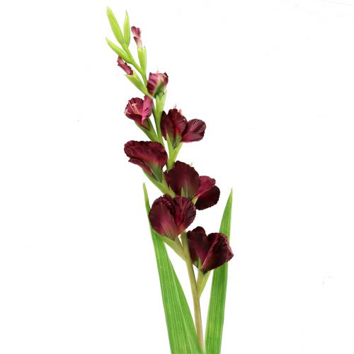 Gladiolus Real-Touch Bordeaux 93cm