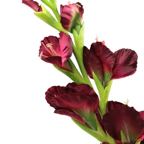 Product Gladiolus Real-Touch Bordeaux 93cm