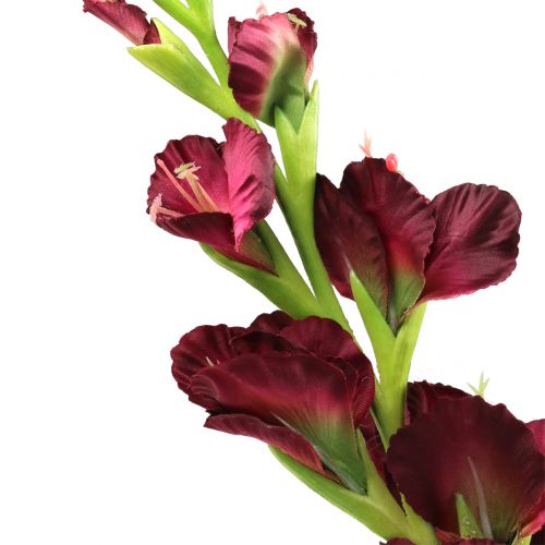 Floristik24 Gladiolus Real-Touch Bordeaux 93cm