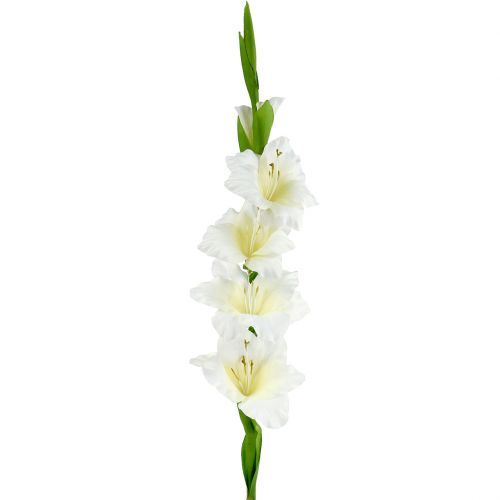 Floristik24 Gladiolus white 86cm artificial