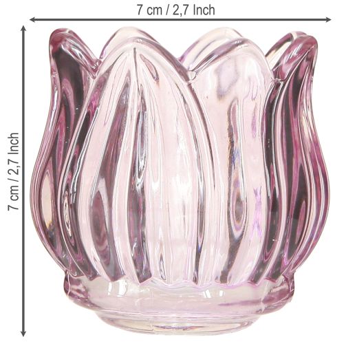 Product Glass tealight holder tealight glass tulip purple Ø7cm H7cm 2pcs