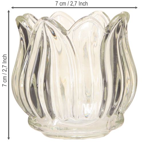 Product Glass tealight holder tulip tealight glass clear Ø7cm H7cm 2pcs