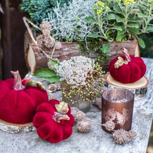 Floristik24 Glass lantern, tealight glass with leaf motif, autumn decoration Ø8cm H9cm 2pcs