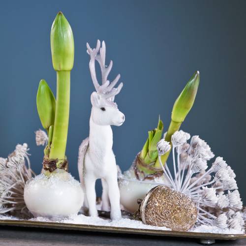 Floristik24 Christmas tree decorations acorn to hang metal glass gold 7cm 4pcs