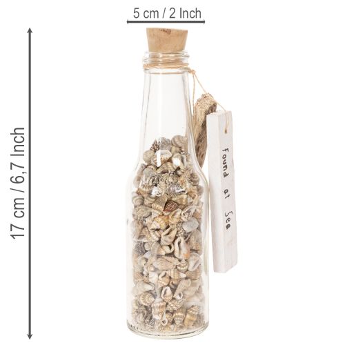 Glass bottle decoration with shells and pendant, maritime table decoration, 17cm, 2 pieces | Floristik24.ie