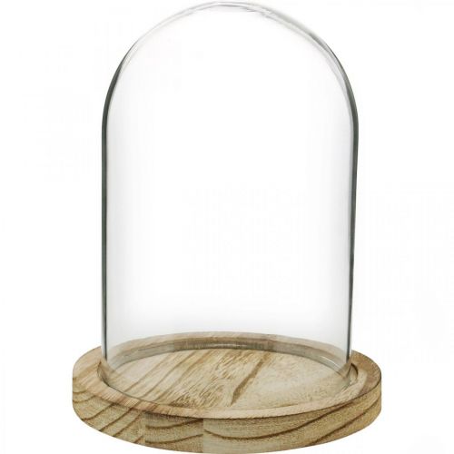 Floristik24 Decorative bell, glass dome with wooden plate, table decoration H16cm Ø12.5cm