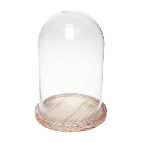 Floristik24 Glass bell with wooden plate glass decoration Ø17cm H25cm