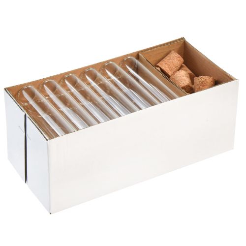 Floristik24 Mini vases glass decoration glass tubes with cork H11.5cm 24 pcs
