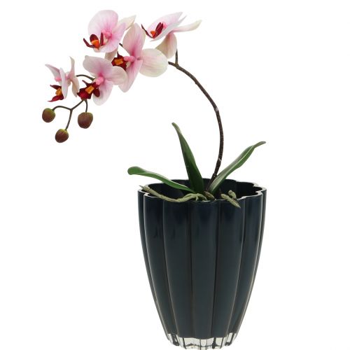 Floristik24 Glass vase "Bloom" dark blue Ø14cm H17cm