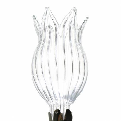 Floristik24 Glass vase with clip flower Ø3.3cm H8.5cm clear 4pcs
