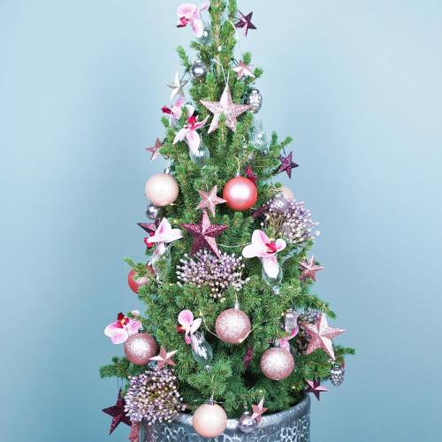 Floristik24 Glass vase with clip flower Ø3.3cm H8.5cm clear 4pcs