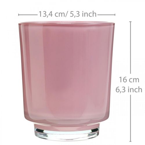 Floristik24 Orchid planter glass pink H16cm Ø13.4cm