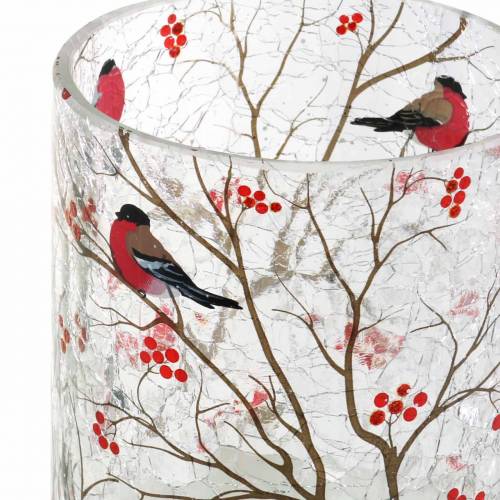 Floristik24 Lantern Bullfinch Crackle Clear Ø9cm H10cm