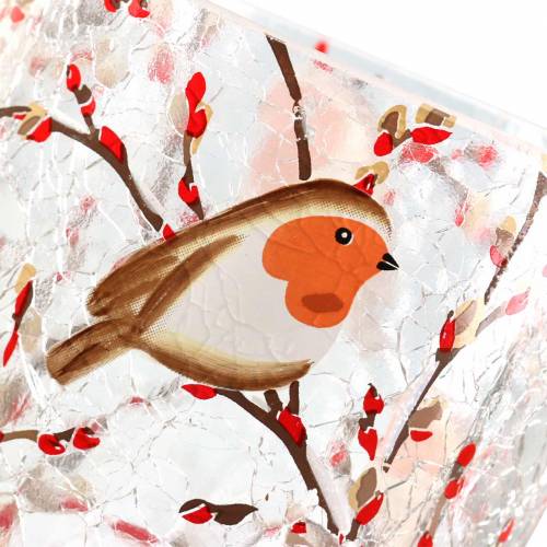 Floristik24 Lantern Robin Crackle Clear Ø9cm H10cm
