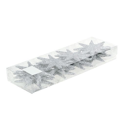 Product Glitter star silver Ø10cm 12 pcs