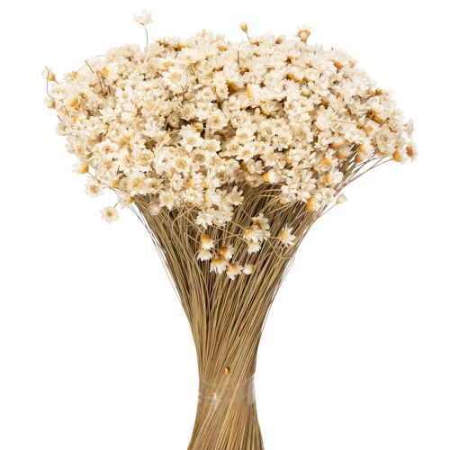 Dried flower bouquet, delicate blossoms for natural home decoration, 44cm