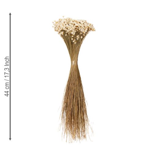 Product Dried flower bouquet, delicate blossoms for natural home decoration, 44cm