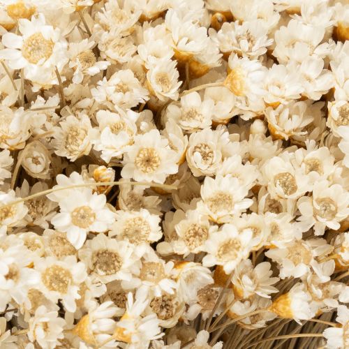 Product Dried flower bouquet, delicate blossoms for natural home decoration, 44cm