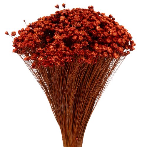 Dried flower bouquet, a charming addition to vases or arrangements, 44cm