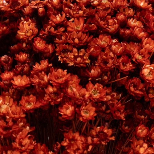 Product Dried flower bouquet, a charming addition to vases or arrangements, 44cm