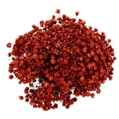 Product Dried flower bouquet, a charming addition to vases or arrangements, 44cm