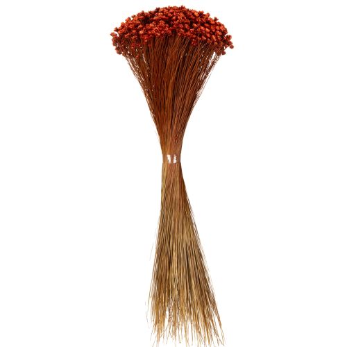 Product Dried flower bouquet, a charming addition to vases or arrangements, 44cm