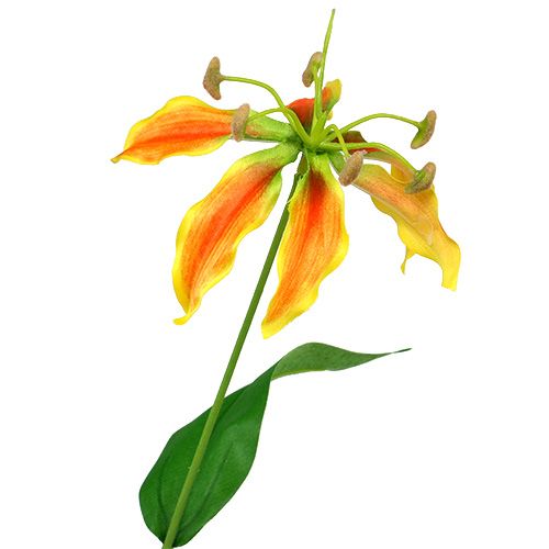 Floristik24 Gloriosa branch orange-yellow 90cm 1pc