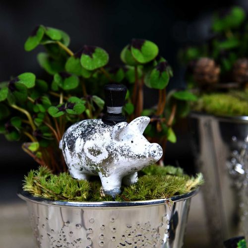 Floristik24 Lucky pig with cylinder silver 6.5 × 8cm 6pcs