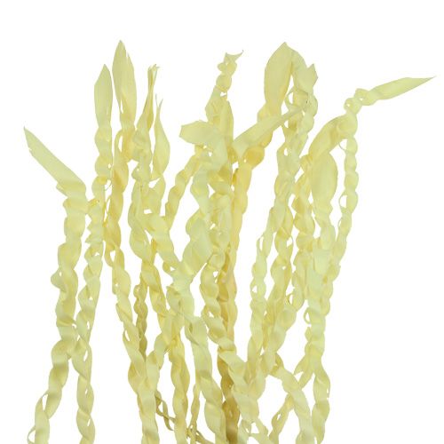 Product Gold tendril bleached 50 pcs