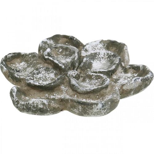 Floristik24 Grave decoration, concrete decoration, garden decoration, concrete rose Ø21cm