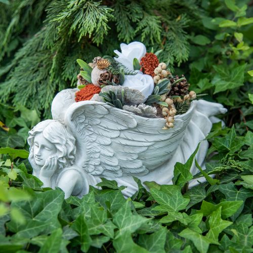 Floristik24 Grave angel with plant bowl Bird bath angel lying 39×18×18cm
