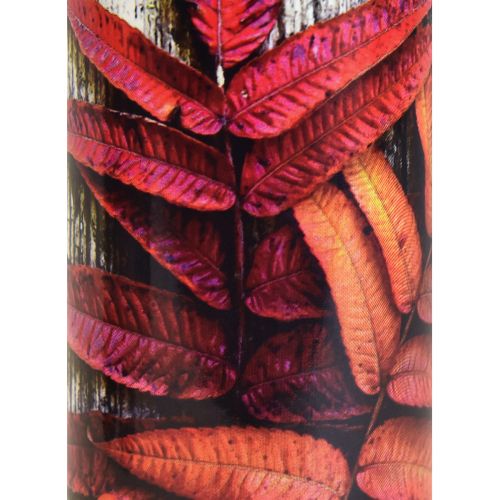 Floristik24 Grave candles mourning candles autumn motifs color Ø6cm H20cm 6 pieces