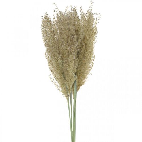 Dried grass ornamental grass for dry floristic decoration nature H55cm