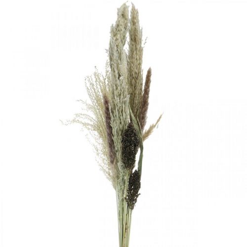 Floristik24 Dried grasses in a bunch Dry floristics Dry bouquet H70cm