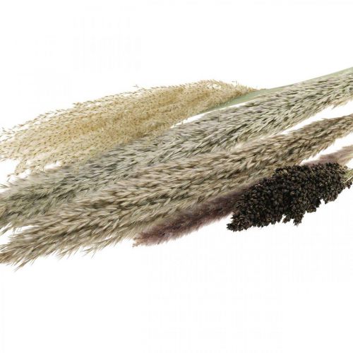Product Dried grasses in a bunch Dry floristics Dry bouquet H70cm