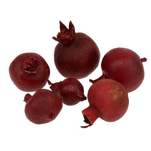 Floristik24 Pomegranates 250g
